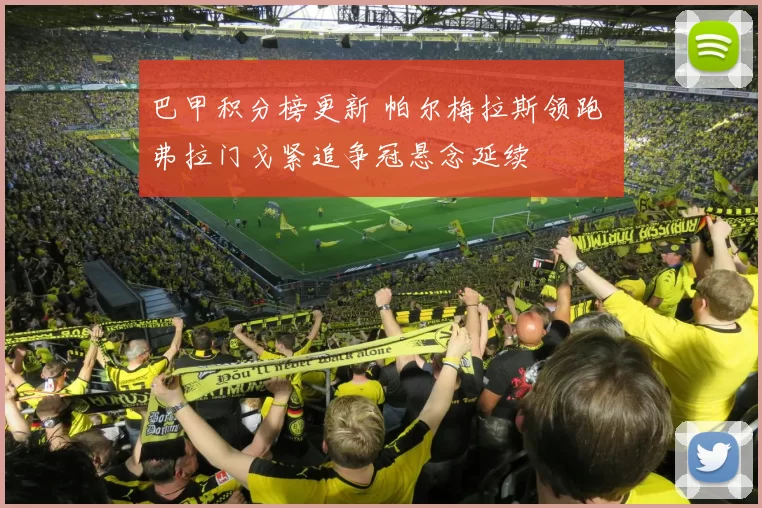 巴甲积分榜更新 帕尔梅拉斯领跑 弗拉门戈紧追争冠悬念延续