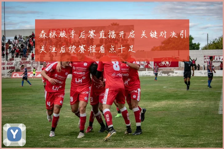 森林狼季后赛直播开启 关键对决引关注后续赛程看点十足